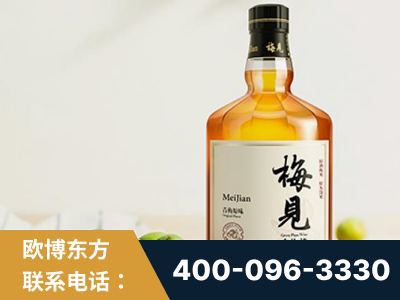 霸州-梅见青梅酒